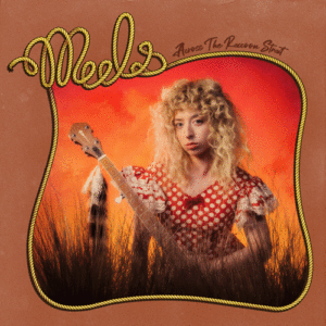 Meels-ATRS-Front-Cover-DSP-Brwn-final